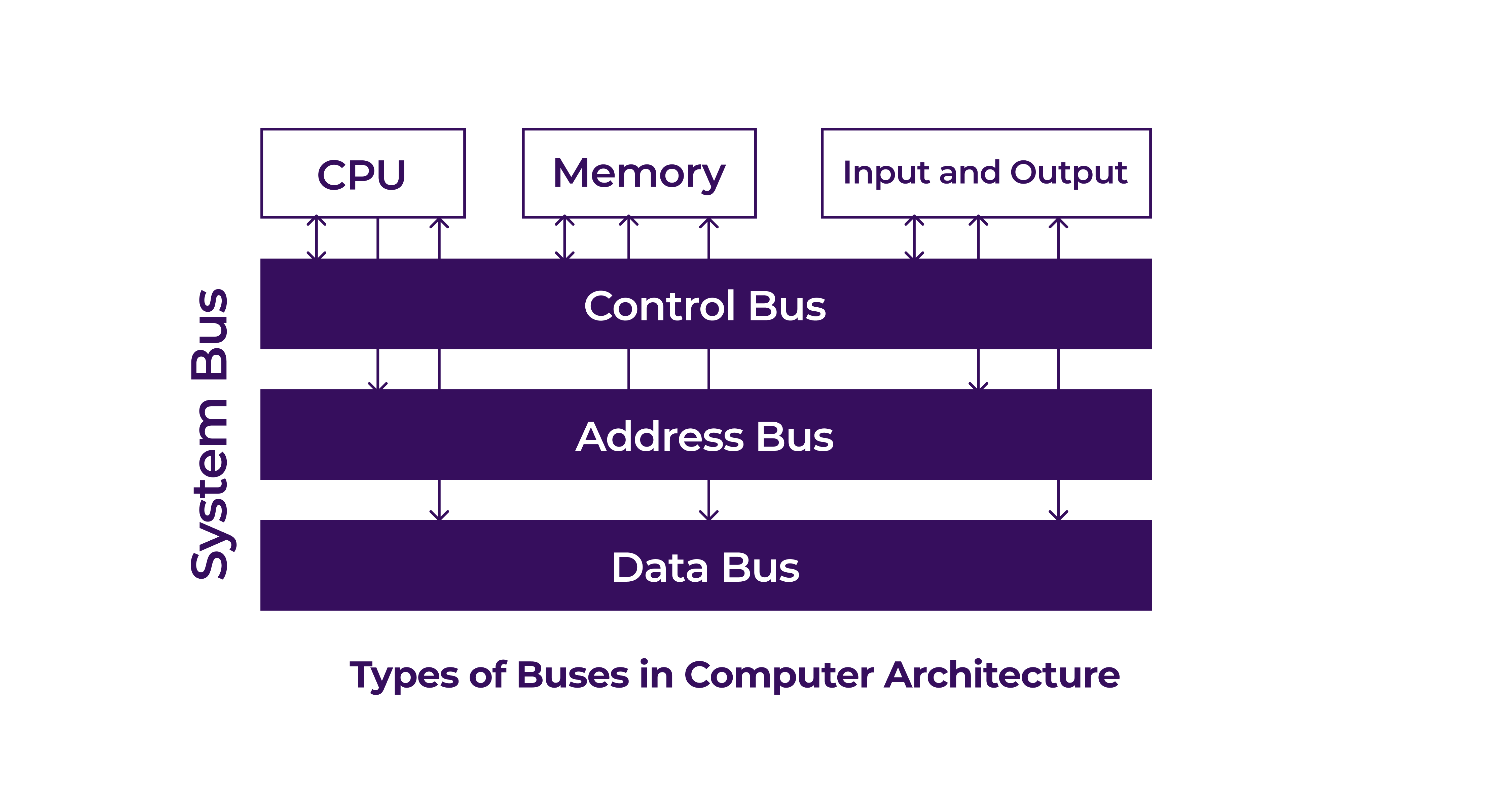 Bus Structure In Computer Organization Bus Structure In Computer Organization