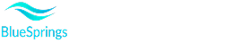 Bluesprings Innovations Pvt Ltd-comapny-logo-