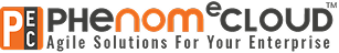 Phenom Cloud-comapny-logo-
