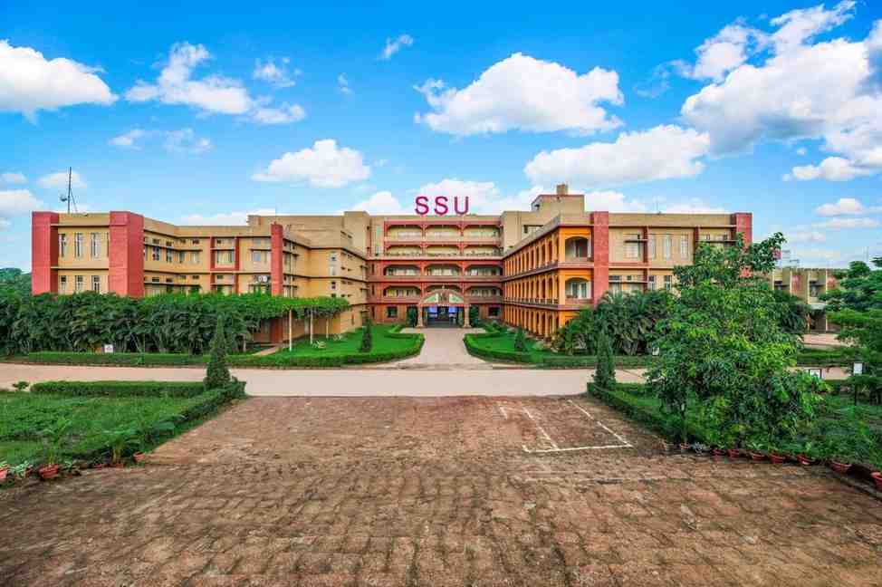 Sri Sri University
